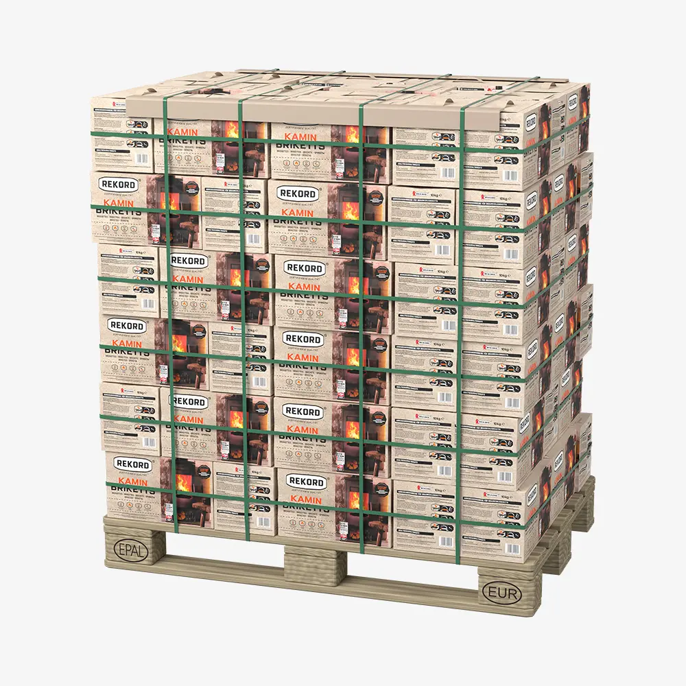 REKORD 10 kg Braunkohlebriketts Tüte PAL (90 x 10 kg)